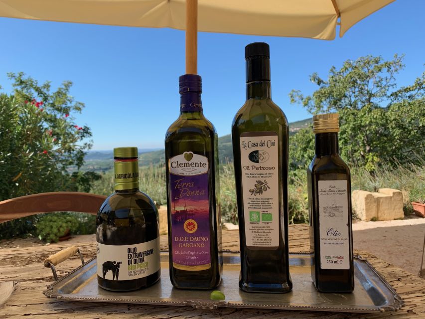 Marano di Valpolicella: DOP Olive Oil Tasting Experience - Arriving at Tenuta Santa Maria Valverde