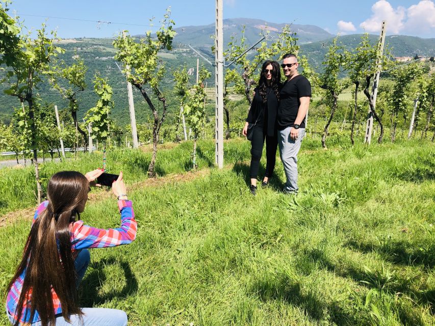 Marano di Valpolicella: DOP Olive Oil Tasting Experience - The Secret Room and the 17th-Century Cellar