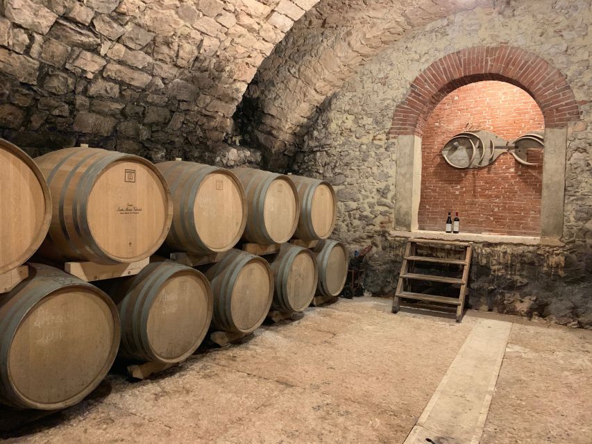 Marano di Valpolicella: DOP Olive Oil Tasting Experience - Language, Timing, and Booking Tips