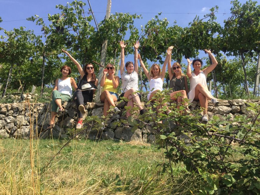 Marano di Valpolicella: DOP Olive Oil Tasting Experience - Walking Through the Olive Tree Garden
