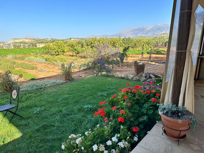 Moires: Cooking Class and Olive Oil Tasting at a Family Farm - The meal, local wine, and what happens after cooking