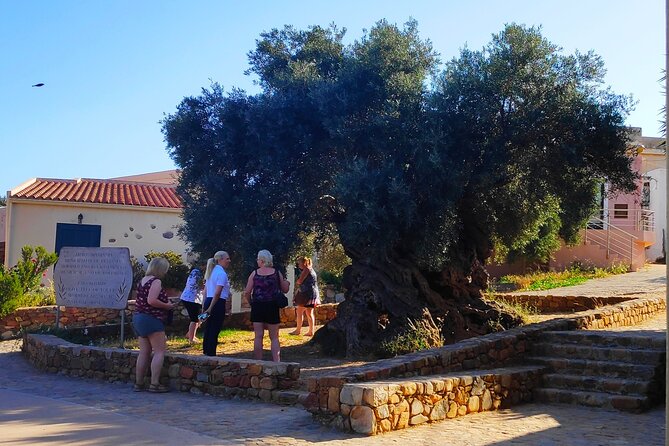 Monastery - Ancient Olive tree & Museum-Cretan Brewery Private Tour from Chania - Touring the Cretan Brewery in Zounaki