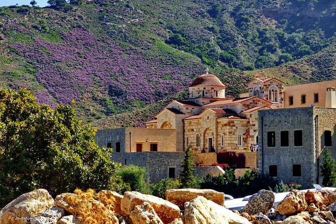 Monastery - Ancient Olive tree & Museum-Cretan Brewery Private Tour from Chania - Vouves and an Olive Tree Older Than Most Civilizations