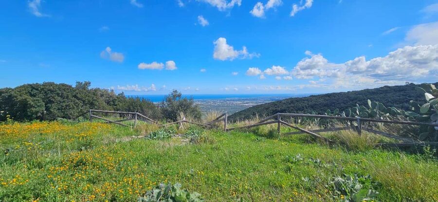 Monopoli: Ancient Olive Groves & Coastal E-Bike Ride - Why this ride works in Monopoli