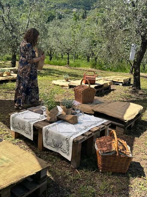 Montecatini Alto: Gourmet picnic among the olive trees with EVO oil pairing - Arriving at Podere Cavozzoli near Montecatini Alto