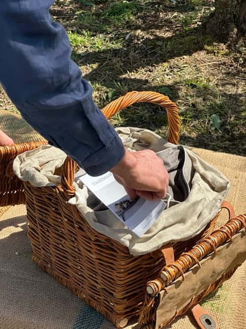 Montecatini Alto: Gourmet picnic among the olive trees with EVO oil pairing - Walking among centuries-old olive trees