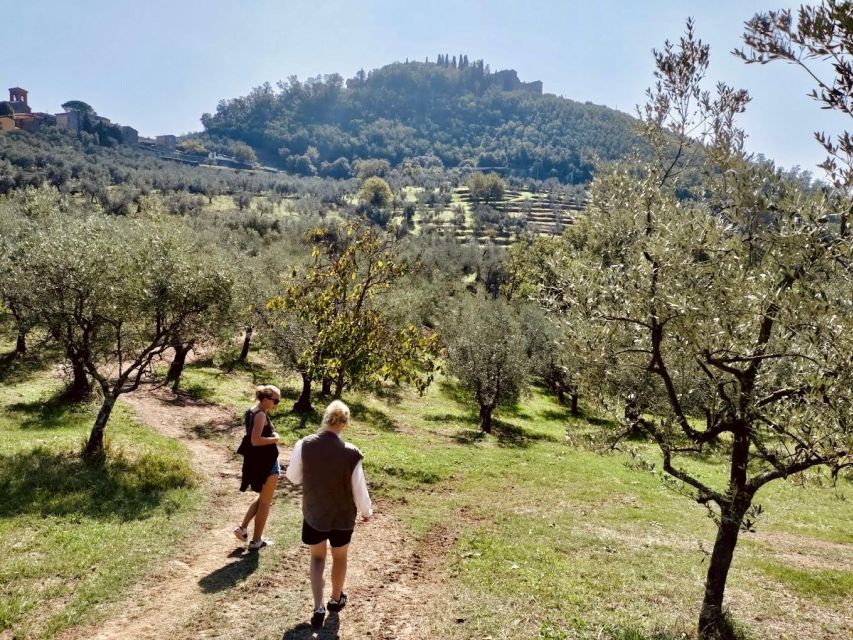 Montecatini Terme: Olive Grove Tour with Oil Tasting - Five things to know before you go