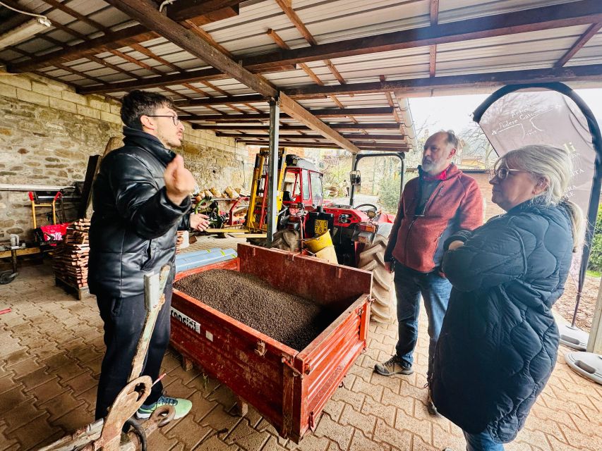 Montecatini Terme: Olive Grove Tour with Oil Tasting - The production equipment and cellar
