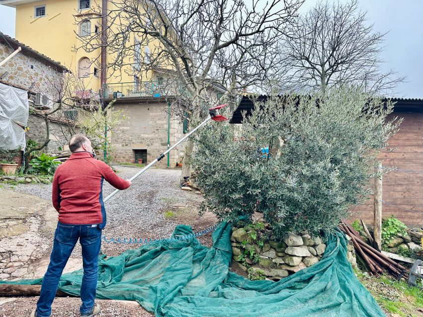 Montecatini Terme: Olive Grove Tour with Oil Tasting - Who will enjoy this olive oil tour most?