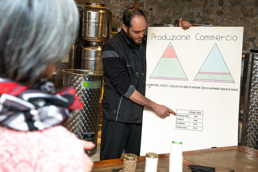 Montecatini Terme: Olive Grove Tour with Oil Tasting - The olive groves above Montecatini Terme