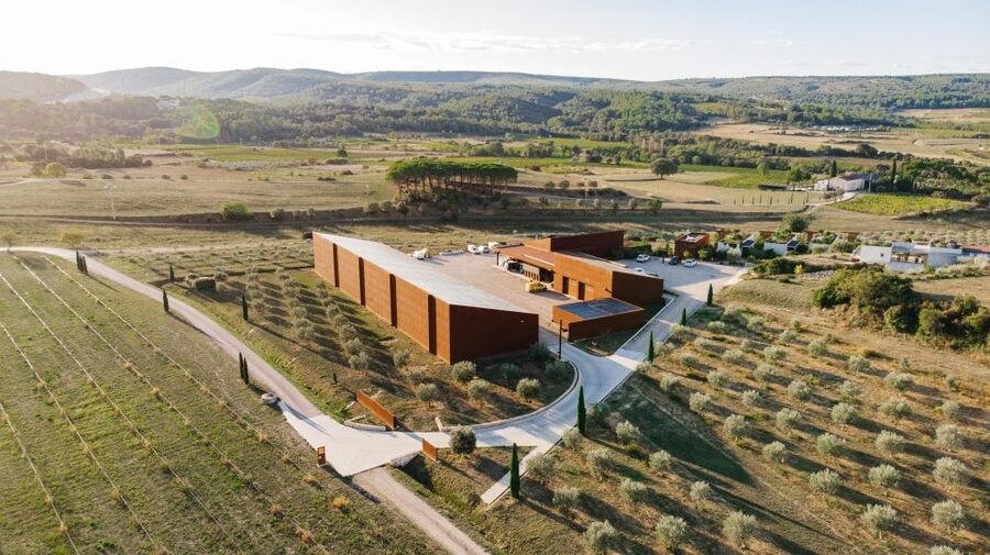 Montpellier : Visit lavender field and an Olive Oil Mill - Is $88 good value?