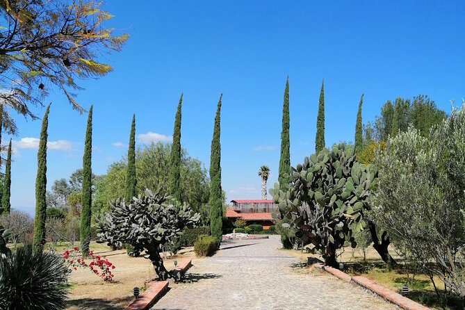 Morning Tour and Olive product tasting - The short ride and the rough final road