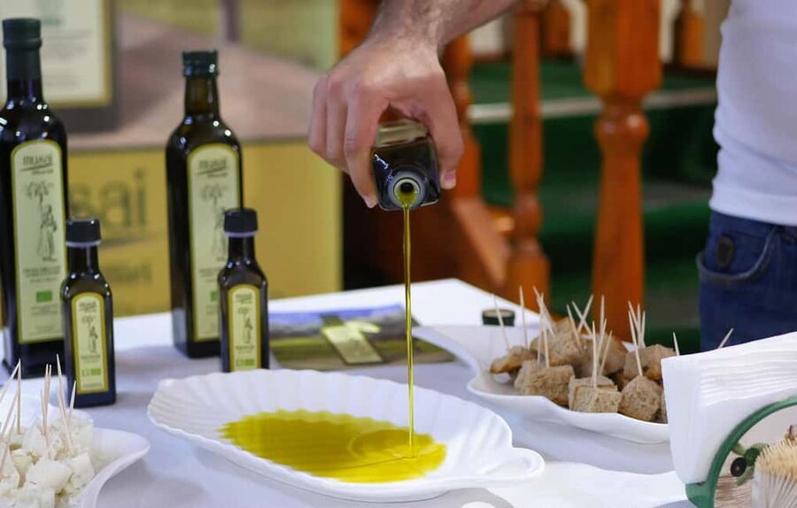 Musai Olive Oil Tour and Tasting - Arriving among Vlorë County’s olive groves