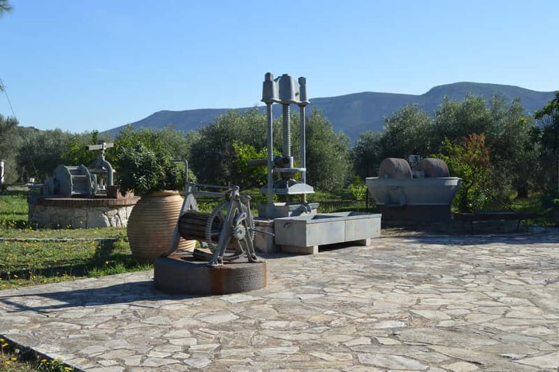 Nafplio: Olive Oil Estate Tour and Tasting - Key points to know before booking