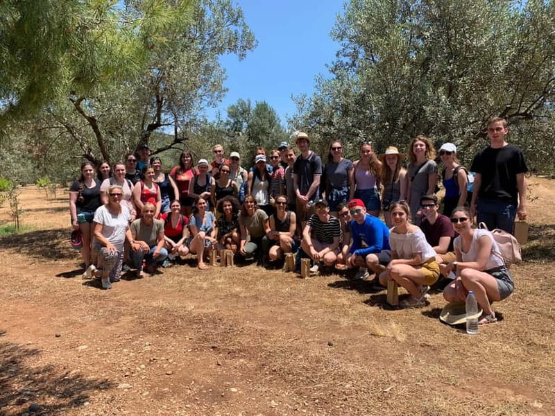Nafplio: Olive Oil Estate Tour and Tasting - Who will enjoy this most?