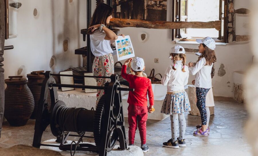 Naxos Town: Olive Oil Tasting & Baking in the Heart of Town - Is $100 Per Person Good Value?