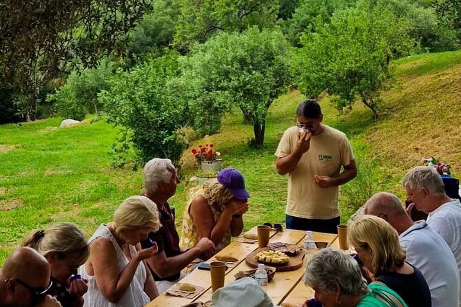 North Corfu Olive Tour With Olive oil Tasting & Meze - Who will enjoy this tour most