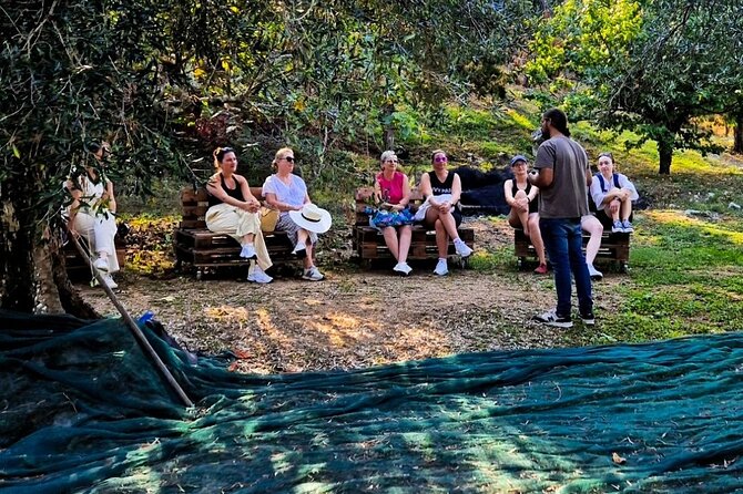 North Corfu Olive Tour With Olive oil Tasting & Meze - Walking through Corfu’s old olive grove