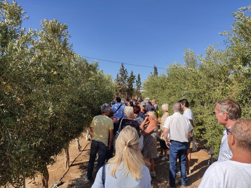 OleoAlmanzora: Guided tour olive groves and EVOO facilities - Key things to know before you go