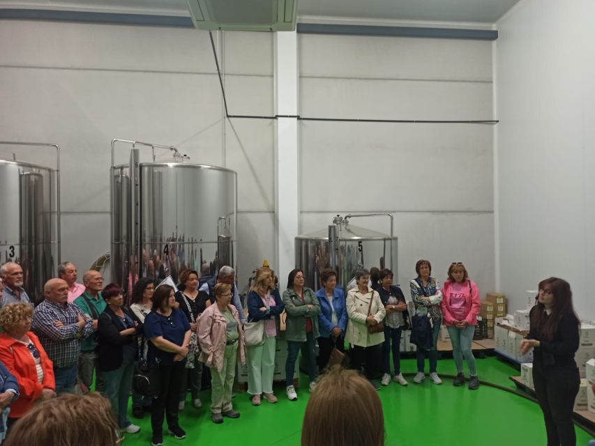 OleoAlmanzora: Guided tour olive groves and EVOO facilities - The guide can shape the whole visit