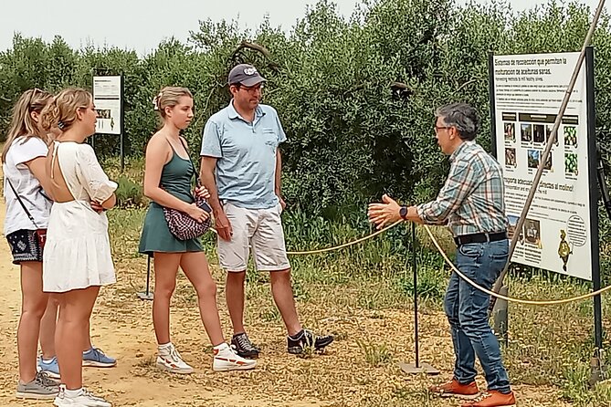 Oleotourism and olive oil tasting in Seville - Private tour - Key points to know before booking