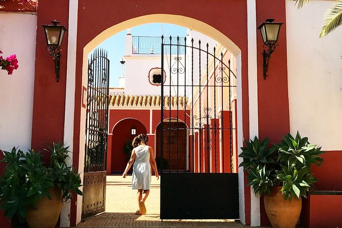 Oleotourism and olive oil tasting in Seville - Private tour - The meeting point and the ride from Seville
