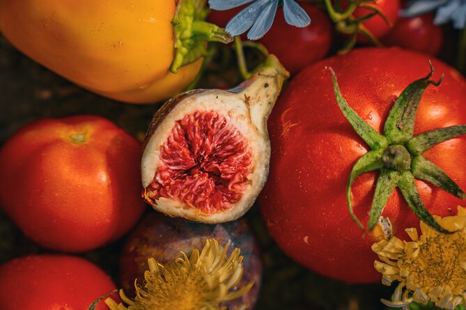 Olive farm & village - Key points to know before booking