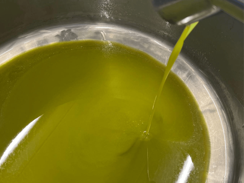 Olive Mill Tour and Tasting in the Padua Hills - From Monte Brecale olives to finished oil