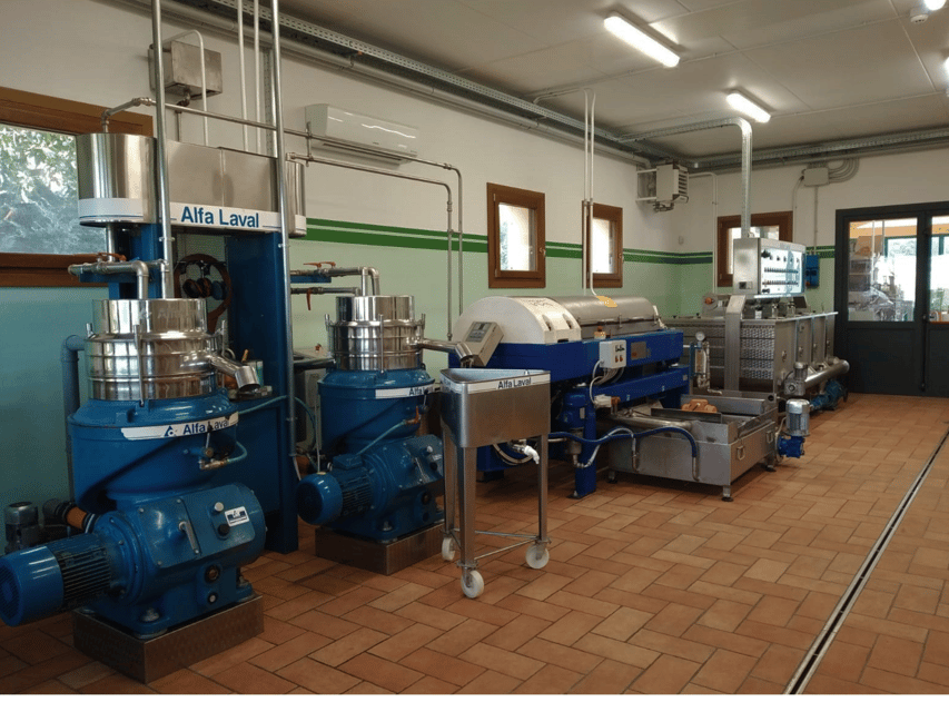 Olive Mill Tour and Tasting in the Padua Hills - The orchard walk adds breathing room