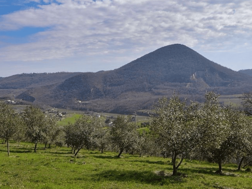 Olive Mill Tour and Tasting in the Padua Hills - Who will enjoy this most?