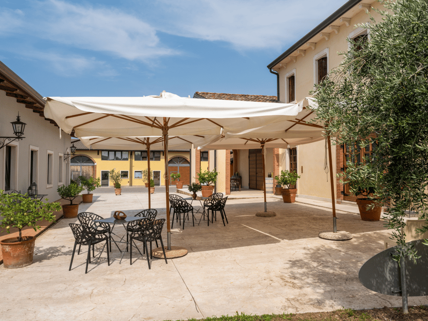 Olive Mill Tour and Tasting in the Verona Countryside - The Bonamini family Oil Museum