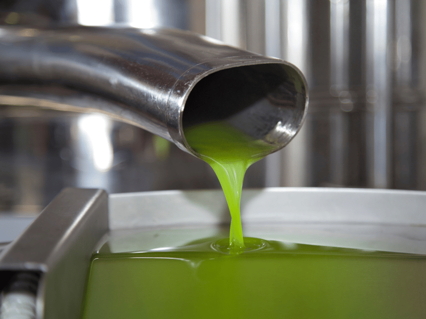 Olive Mill Tour and Tasting in the Verona Countryside - Finding Frantoio Bonamini in Illasi