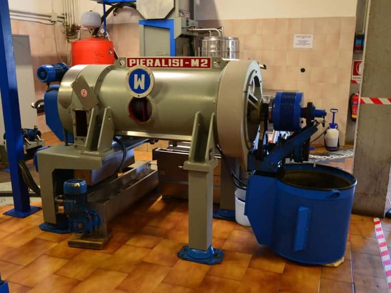 Olive Mill Tour with Oil and Food Tasting in Chianciano - Price, timing, and practical value