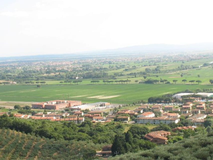 Olive Mill Tour with Oil and Food Tastings near Pisa - Why Calci Makes a Good Olive Oil Stop