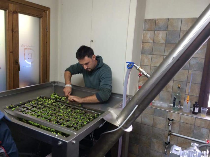 Olive Mill Tour with Oil and Food Tastings near Pisa - Tasting Three Extra Virgin Olive Oils