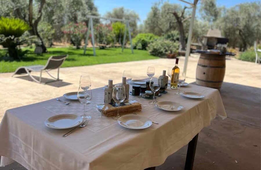 Olive Mill Tour with Olive Oil Tasting in Sassari - A quiet introduction to Sassari’s olive country