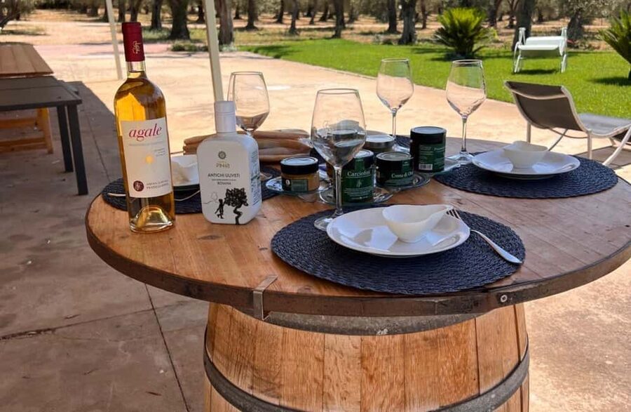 Olive Mill Tour with Olive Oil Tasting in Sassari - Tasting three oils with bread and olives