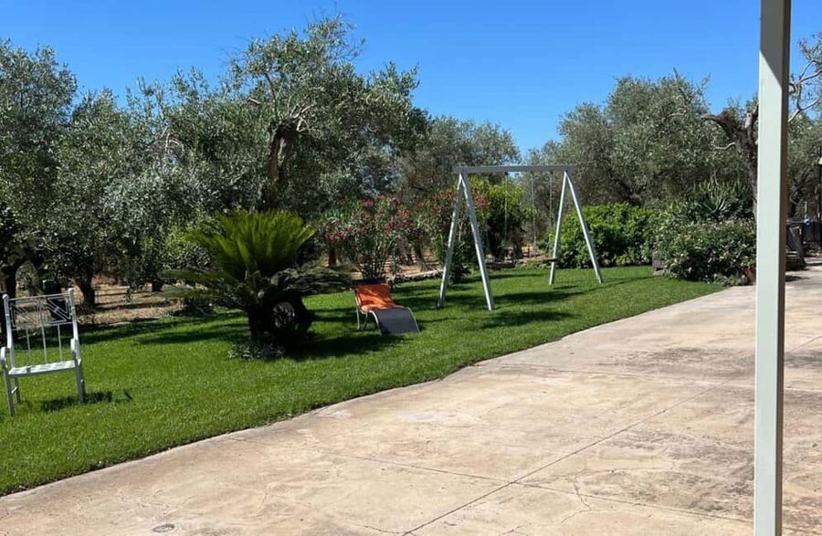 Olive Mill Tour with Olive Oil Tasting in Sassari - Should you book the olive mill tour?