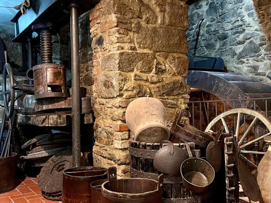 Olive Mill Visit & Guided Tasting in Taggia - The final 15 minutes: shopping with a little guidance