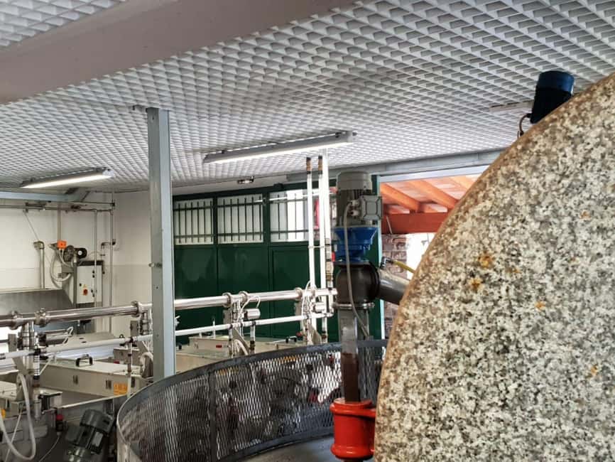 Olive Mill Visit & Guided Tasting in Taggia - Who will enjoy this one-hour visit