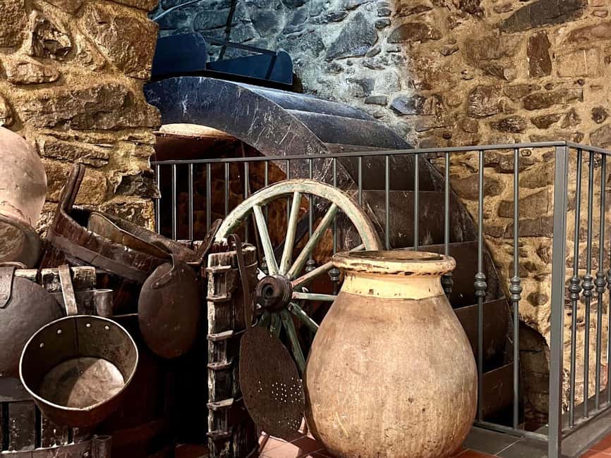 Olive Mill Visit & Guided Tasting in Taggia - Planning your visit from Imperia