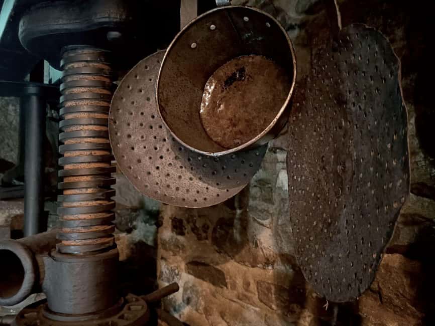 Olive Mill Visit & Guided Tasting in Taggia - Should you book the Taggia olive mill visit?