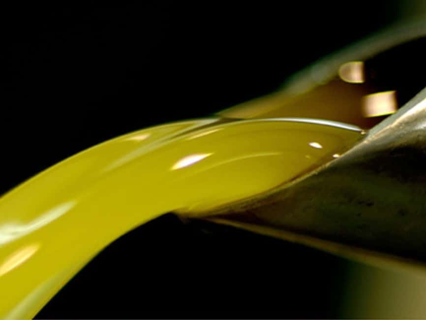 Olive Mill Visit & Guided Tasting in Taggia - Entering a mill from the late 1800s