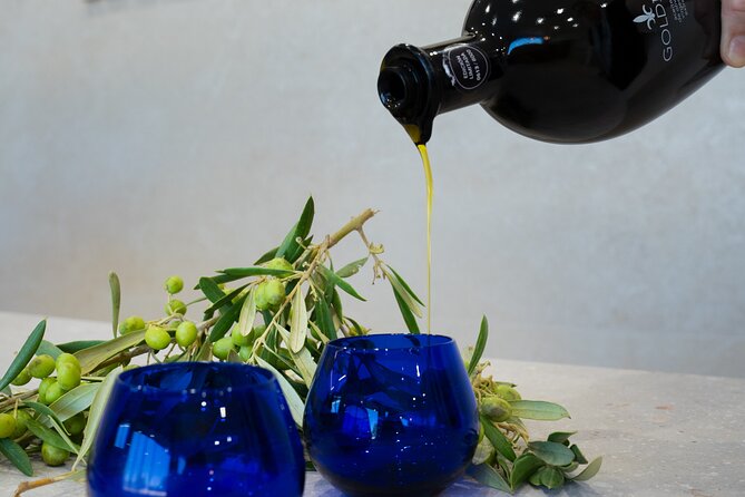 Olive Oil and Winery Tour from Zaragoza City - Key points at a glance