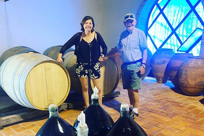 Olive Oil and Winery Tour from Zaragoza City - Why this makes a good break from Zaragoza