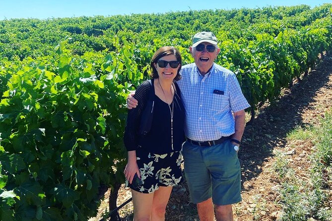 Olive Oil and Winery Tour from Zaragoza City - Molino Alfonso and the olive oil tasting