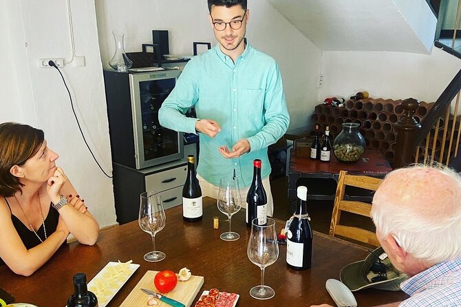 Olive Oil and Winery Tour from Zaragoza City - What the guides add