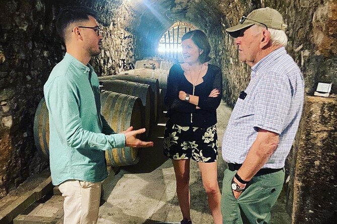 Olive Oil and Winery Tour from Zaragoza City - Who will enjoy this outing most