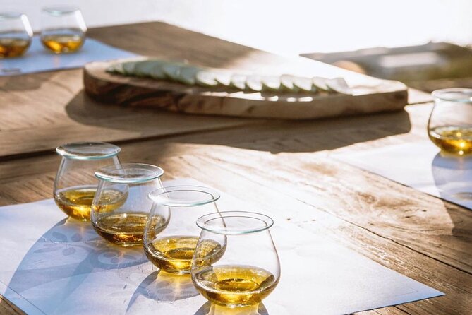 Olive Oil, Cheese, and Wine Tasting with Local Expert - Key points at a glance
