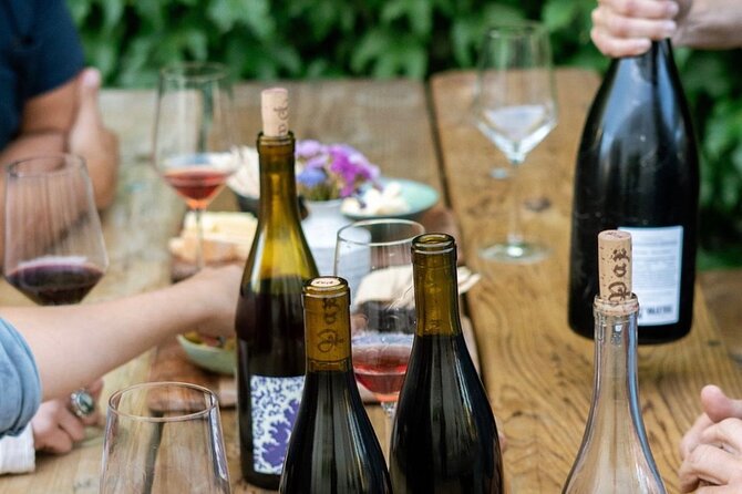 Olive Oil, Cheese, and Wine Tasting with Local Expert - The guide is the main reason the small group matters